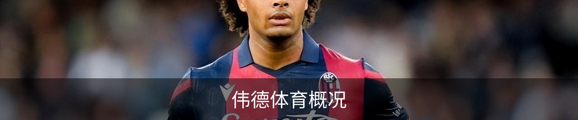 伟德体育概况