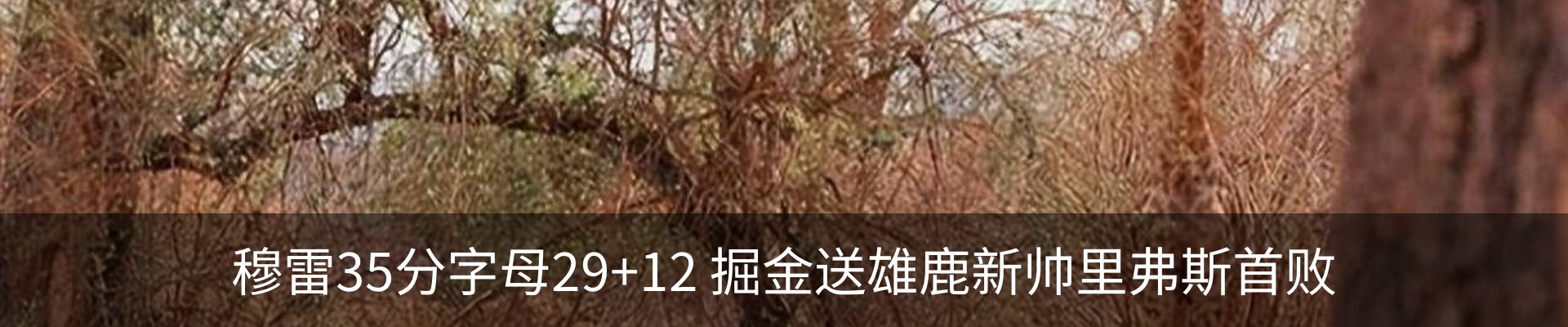 行业资讯